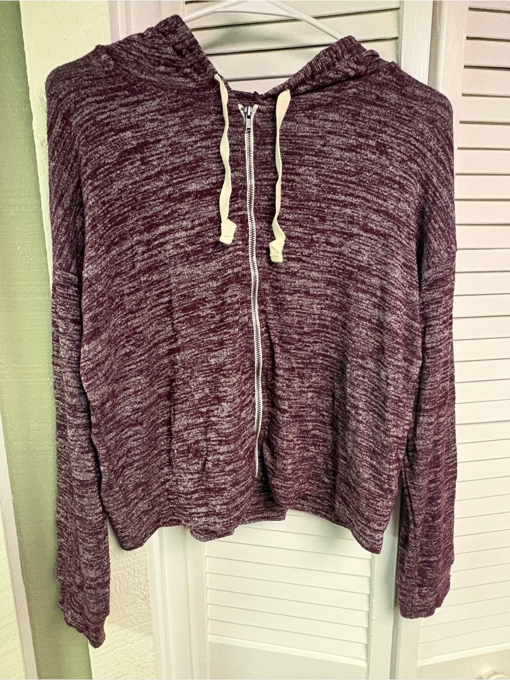 American Eagle Outfitters Marled Zip Hoodie in Plum
